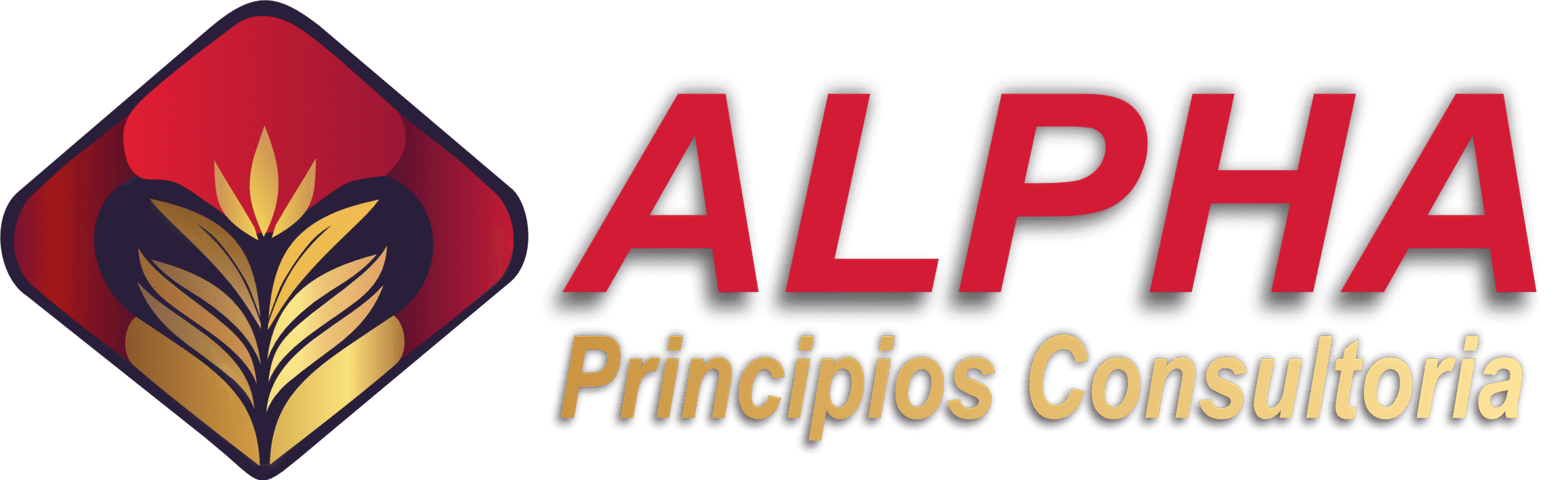 Alpha Principios